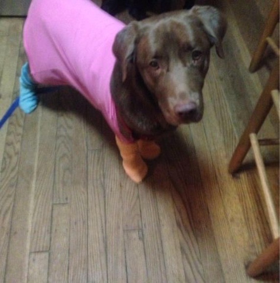 Meet your Posher, Dale - Picture 1 of 1